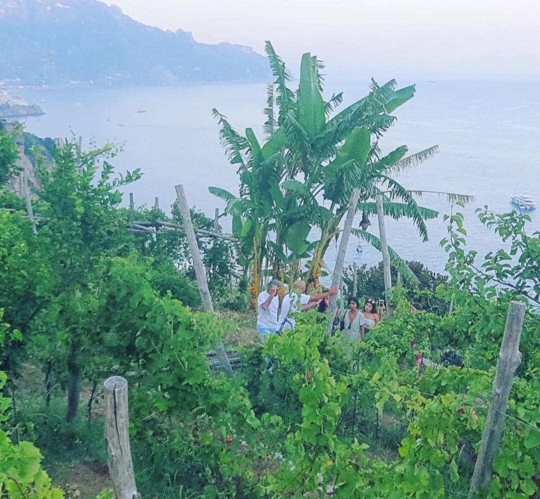 Agriturismo Fuoco D'Amalfi Villa Iazzetta Zewnętrze zdjęcie